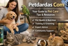 Petdardas Com