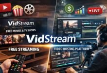 VidStream